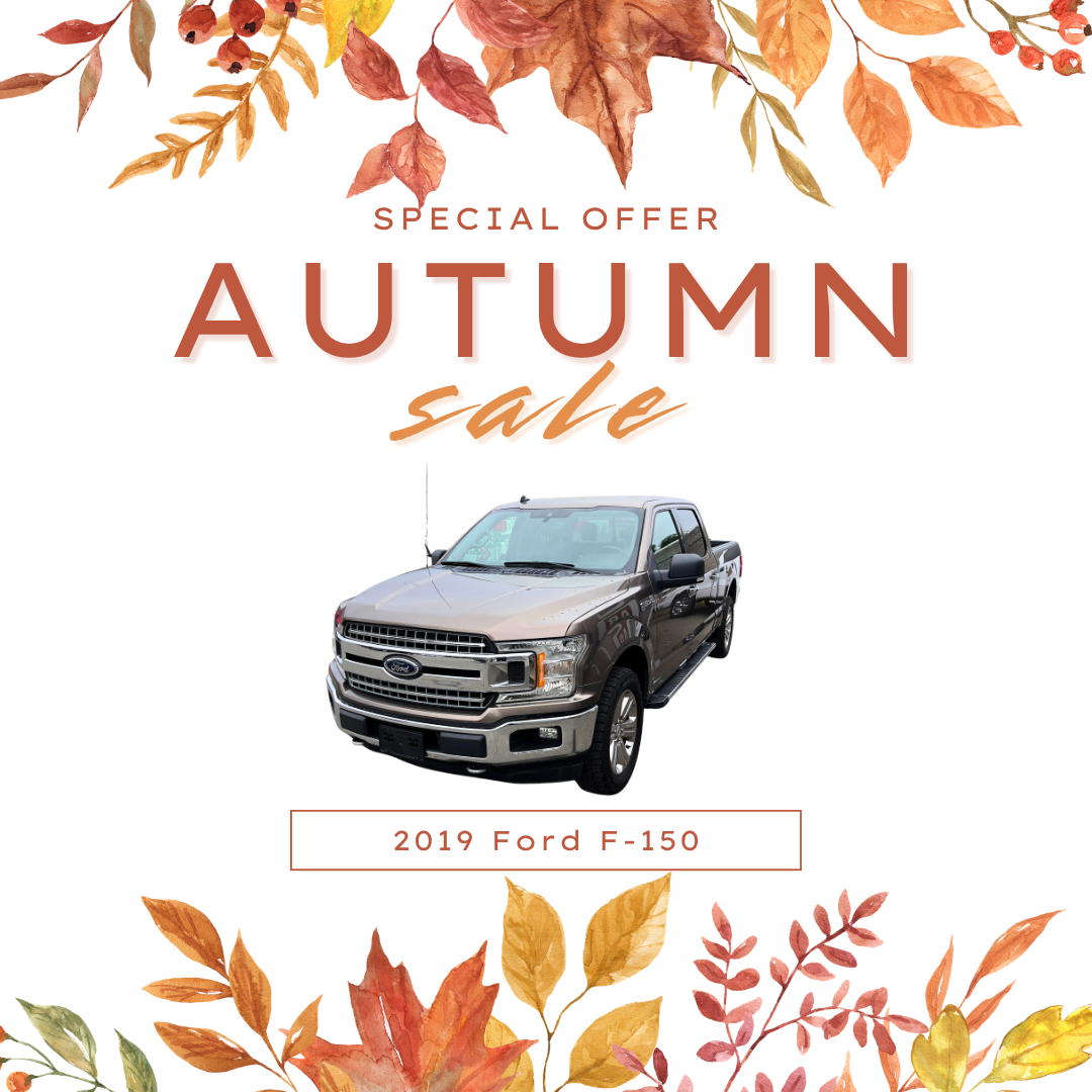 2019 Ford F-150